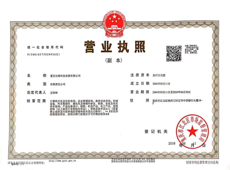 Китай Chongqing Big Science &amp; Technology Development Co., Ltd. Сертификаты